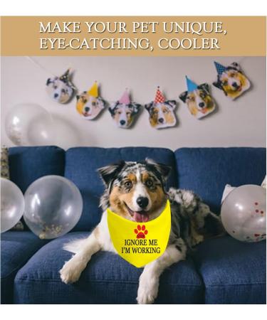 1 Piece Working Dog Bandana - 'Do Not Disturb' Design for Service Dogs | Shop Internationally - Buy Online on GoSupps.com