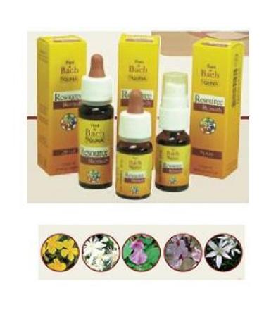 GUNA (3026) GUNA RESOURCE REMEDY SPRAY 10ML