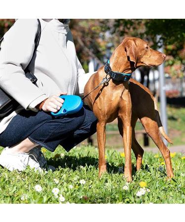 Ferplast Flippy One Dog Leash - 5m Roller Leash for Medium Dogs up to 25kg - Adjustable Locking Black - Buy Online on GoSupps.com