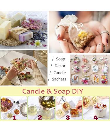 21 Pack Natural Dried Flowers for Candle, Soap, Bath, and Resin Jewelry Making - Lavender, Rose Petals, Rosebuds, Leaves, Lemon - Bulk Dried Herbs Kit - Buy Online on GoSupps.com