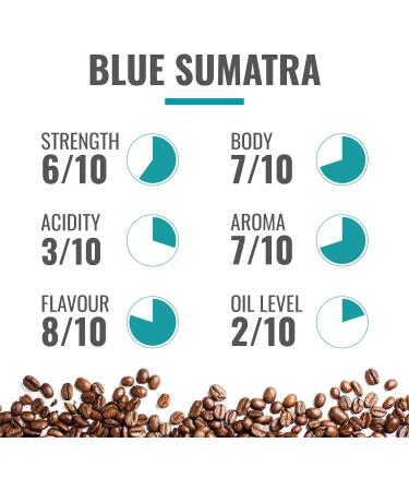 Coffee Direct Blue Sumatra Coffee Beans 908 g - Buy Online on GoSupps.com