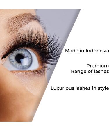 Beauty Forever Professional Individual Lashes 5 Ply Flare Black Knot Free For Natural Volume Available Sizes Short Medium & Long (BF1002-Medium) - Buy Online on GoSupps.com