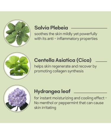 Green Salvia Multi Soothing Gel Moisturizer - Korean Skincare Hydrating Gel with Vitamin Capsules for All Skin Types (70ml) - Buy Online Internationally - Buy Online on GoSupps.com
