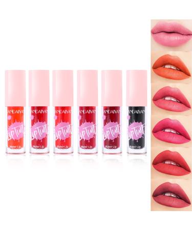 Topcent 6 Colors Lip Stain Set  Longwear Lip Tint  Plumping Liquid Lipstick  High Pigment Moisturizing Lip Gloss for Full and Sexy Lip Look  Watery Finish  Vivid Color  0.74 fl oz SET B