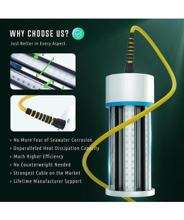 Tendelux Underwater Fishing Light - Super Bright Green LED Submersible Light for Docks, Boats, Kayaks - IP68 Rated - 110V / 30ft Cable - Buy Online on GoSupps.com