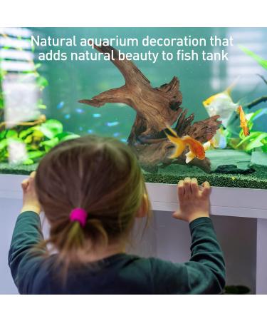Natural Driftwood Aquarium Decor - Assorted Branches for Reptile/Fish Tank (2 Pack, 9-14 inch) - Buy Online on GoSupps.com
