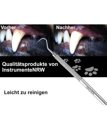 Effective Dog Tartar Remover - Stainless Steel Dental Care Tool for Pets | Pointed & Round Tooth Cleaner - Buy Online on GoSupps.com