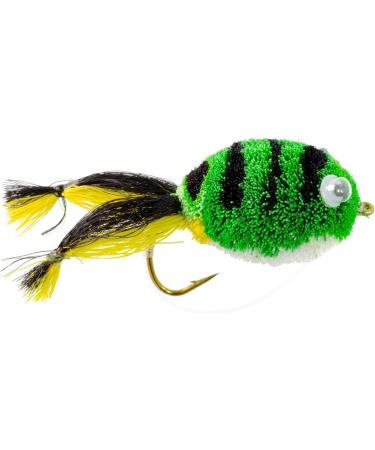 Fly Fishing Place Bass Bug Collection - Set of 12 Bass Fly Fishing Flies - Surface Poppers, Divers, Subsurface - Hook Sizes 2, 4, 6 - Buy Online on GoSupps.com