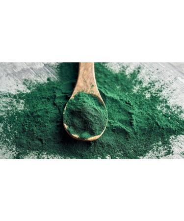 klamath blue green algae - BLUE GREEN ALGAE 500MG from Klamath Lake - antioxidant nutritional supplements spirulina pills extra strength energy pills for women immune booster - 2 Bot 120 Capsules - Buy Online on GoSupps.com