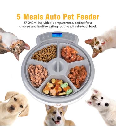 Casfuy 5-Meals Automatic Cat Feeder - Programmable Timer, Voice Recorder, Portion Control - For Cats and Small-Medium Dogs - Buy Online on GoSupps.com