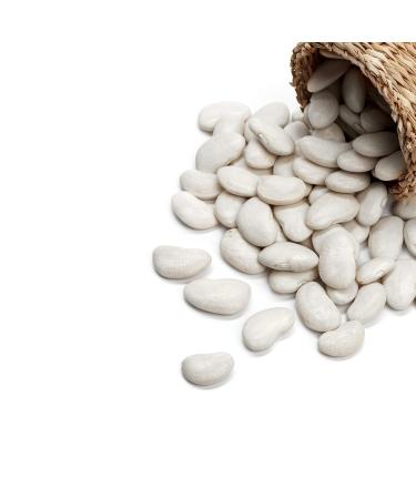 Buy TRS Dried White Butter Beans - Premium Lima Beans 500g Pack (Pack of 3) | International Shipping Available - Buy Online on GoSupps.com