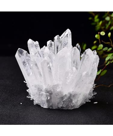 Natural Crystal Rough Nature Gemstones Drum Stones Natural Crystal Cluster Amethyst Rock Rehearsal Yellow Green Purple Quartz Stone raw Crystals Residential Culture (Color : Clear Quartz Size : 500 500-550g Clear Quartz - Buy Online on GoSupps.com