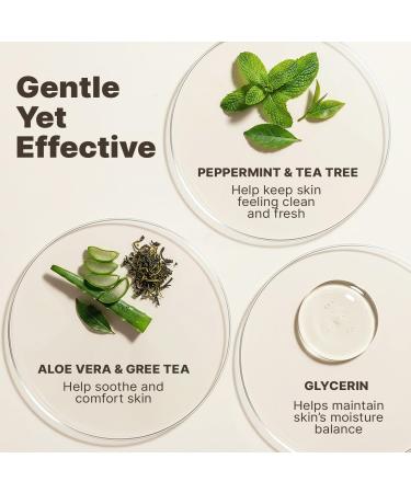 Beauty by Earth Foaming Face Wash Cleanser Natural & Organic Ingredients Vegan Facial Wash Gentle Daily Cleanser for Sensitive Oily & Acne Prone Skin Made in USA Peppermint Tea Tree 4.2 Fl Oz (Pack of 1) - Buy Online on GoSupps.com