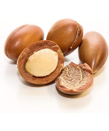 Florabiol - Organic Argan Vegetable Oil - 50 ml - Rich in Vitamin E - Anti-aging Nourishing Healing - 100% Pure and Natural - Made in France - Buy Online on GoSupps.com