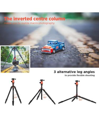 GEEKOTO 77'' DSLR Camera Tripod with 360 Ball Head - Lightweight & Durable - Buy Online on GoSupps.com