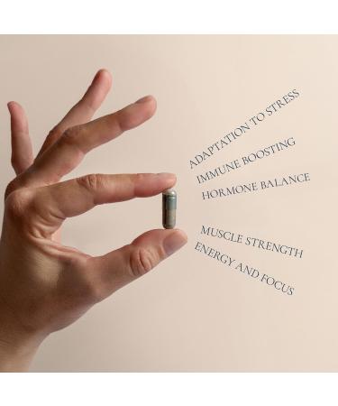 HIFAS DA TERRA Optimum Refill Pack for Men - Mushroom Supplement Mushroom Complex with Cordyceps & Lions Mane Adaptogenic Extract Powder Pills for Brain Health Focus & Energy - 60 Capsules - Buy Online on GoSupps.com