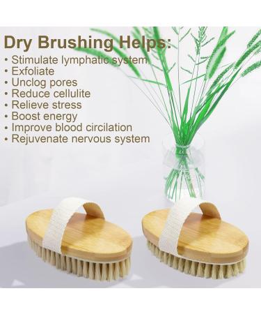 GiimiBash Bamboo Dry Body Brush for Smooth Skin, Blood Circulation, and Cellulite Treatment - Soft and Stiff Bristles - Suitable for All Skin Types - Buy Online on GoSupps.com