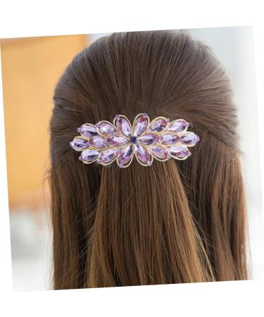 HAPINARY Rhinestone Spring Hair Accessories Vintage Hair Accessories Crystal Hair Clips Hair Claw Clips for Girls Wedding Hair Clip Purple Miss Alloy Big Hairpin Delicate - Buy Online on GoSupps.com