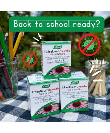 A.Vogel Echinaforce Chewable Tablets | Relieve Cold & Flu Symptoms | 80 Tablets | Fresh Echinacea Extracts - Buy Online on GoSupps.com