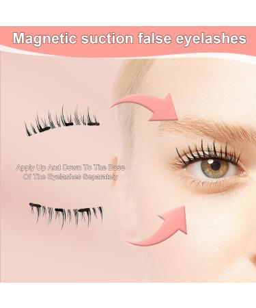 2 Pairs Magnetic Eyelashes Natural Look Eyelashes Magnetic with Applicator Reusable Magnetic Eyelashes without Eyeliner Magnetic Lashes Easy to Wear No Glue & No Makeup Remover White Box - Buy Online on GoSupps.com
