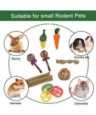 AKlamater 14Pcs Rabbit Chew Toys Natural Sticks for Rabbits Loofah Wood Grass Ball String for Rabbits Guinea Pig Hamsters Chinchilla - Buy Online on GoSupps.com