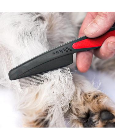 Flea Comb for Dogs and Cats - Stainless Steel Fine Long Teeth Flea Catcher - Tick Removal Tool and Lice Remover - Red Color - 6PCS - Buy Online on GoSupps.com