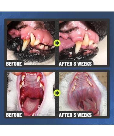 (100% 5 star) Pet Clean Teeth Cleaning Spray Pet Teeth Cleaning Spray Teeth Cleaning Spray for Dogs Pet Oral Spray Clean Teeth Pet Breath Freshener Oral Spray Pet Oral Spray Pet Oral Spray Clean Spray Petry Teeth Cleaning Spray Petry Oral Spray for Dogs & - Buy Online on GoSupps.com