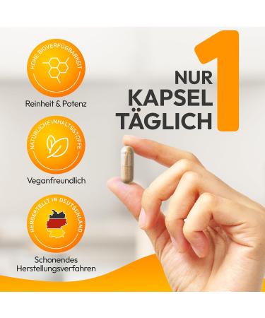 Celltria Premium FB-Complex | All-in-One Formula with Garcinia Cambogia Bitter Orange & Raspberry | 120 Capsules for Enhanced Training Support - Buy Online on GoSupps.com