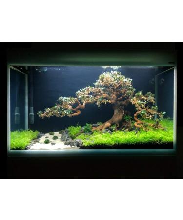 Aquarium Wood Bonsai Tree Decoration Premium Pieces Aquascaping Root Iwagumi Tree L 30x25x20cm - Buy Online on GoSupps.com