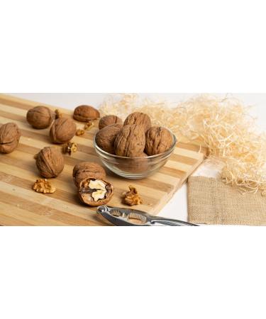 Caporaso dal 1960 Italian-style nuts in their shells natural dried fruit (1 kilogram) - Buy Online on GoSupps.com