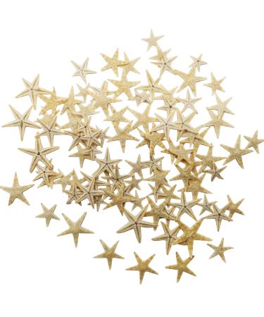 RONYOUNG 90PCS Small Starfish Star Sea Shell Beach Craft 0.4-1.2