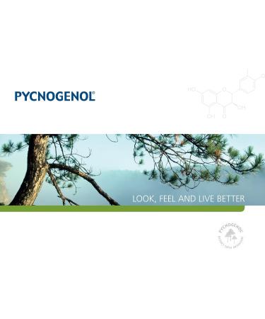 Buy Pycnogenol 30 Vegan 100mg Super Antioxidant Capsules - Allergen-Free Lab Tested by Horphag Research Switzerland | Fast International Shipping - Buy Online on GoSupps.com