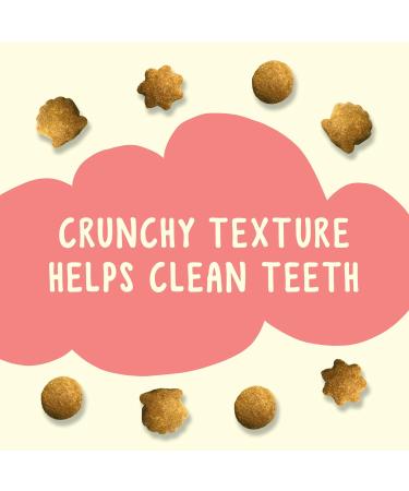 Friskies Party Mix Cat Treats Naturals Seaside Crunch with Real Fish - 454 g Cannister (1 Pack) 454 g (Pack of 1) - Buy Online on GoSupps.com