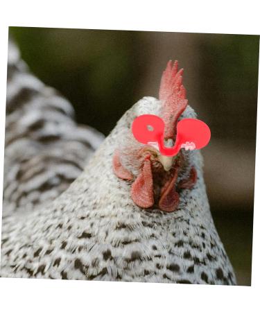 Cabilock 300 Pcs Chicken Glasses Chicken Goggles Chicken Saddle for Hens Red Plastic Pheasant Cockfighting Redx3pcs 5.5x2.5cmx3pcs - Buy Online on GoSupps.com