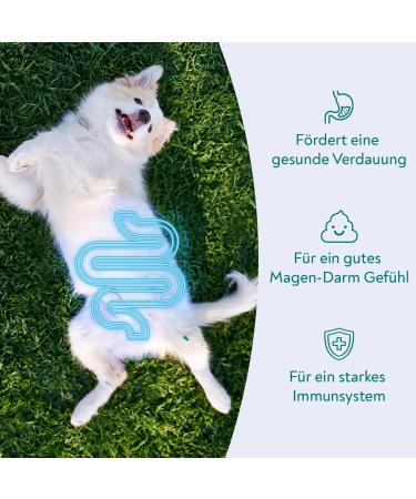 Hellobello Gastrointestinal Drops for Dogs - 3 x 350g | Supports Digestion Colon Regulation & Healthy Intestinal Flora with Probiotics & Prebiotics - Buy Online on GoSupps.com