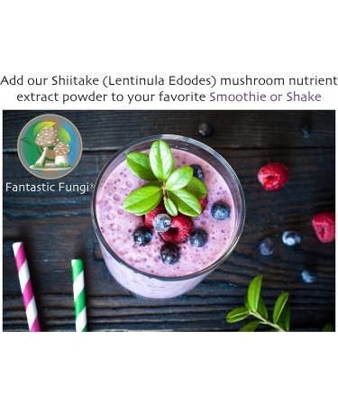 Shiitake (Lentinula Edodes) powder - Fantastic Fungi 100 grams - 3 month supply -Shiitake mushroom fruiting body powder - (Lentinula Edodes) mushroom extract Concentrated 100:1 Shiitake extract powder ready to use - Buy Online on GoSupps.com