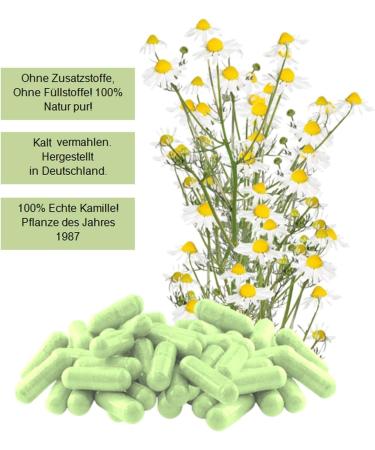 Chamomile Chamomilla Capsules 240 (2x120) - Natural Stomach & Intestine Adaptogen Relaxation Support - Pure Additive-Free Herbal Remedy - Buy Online on GoSupps.com