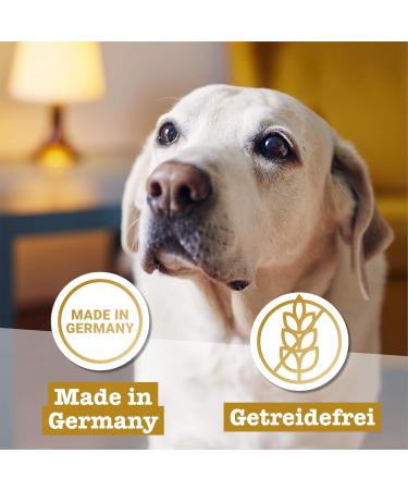 100% Beef Mini Dogeleckerli 70g - Hypoallergenic Grain-Free Air-Dried Meat Strips for Small Dogs - Buy Online on GoSupps.com