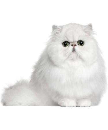 Eye Envy Tear Stain Wipes for Cats | Gentle Textured Cleanse | 100% Natural Formula | Recommended by Breeders, Vets & Groomers | 60 Ct - Buy Online on GoSupps.com