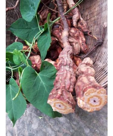 cn herb 250g He Shou Udin Sulphur-free Gluten-free Fresh Taste - Buy Online on GoSupps.com