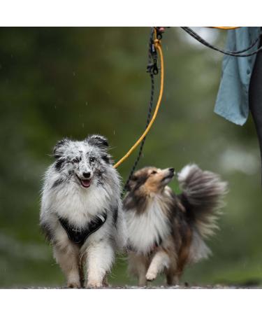 Floxic Premium Kleine Dog Leash | 3M Adjustable Touwline for Small & Medium Dogs | Stylish & Durable in Gray or Orange | 8mm - Buy Online on GoSupps.com