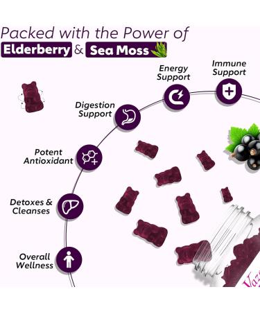 2 Pack Elderberry Gummies with Sea Moss, Extra Strength Elderberry with Vitamin C, Zinc for Immune Support for Adults, Kids, Women & Men, Blueberry Flavor 120Cts 60 Count (Pack of 2) - Buy Online on GoSupps.com