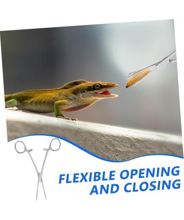 GRIRIW Reptile Feeding Clip Terrarium Supplies Feeding Tongs Silver Stainless Steel - Buy Online on GoSupps.com
