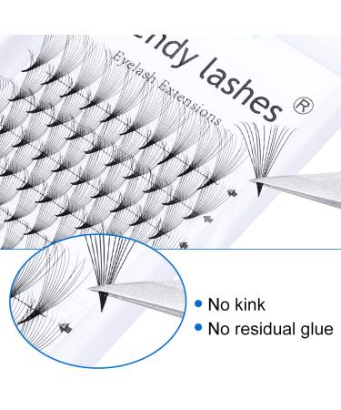 12D Volume Eyelash Extensions - C Curl 0.07 Thickness 8-14mm Mixed Tray | Ready-Made Compartment Fans for Professional Use - Buy Online on GoSupps.com