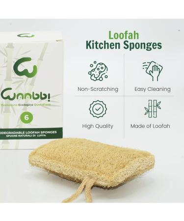 Organic Luffa Kitchen Sponge | Biodegradable Eco-Friendly & Natural Peeling - Buy Online on GoSupps.com