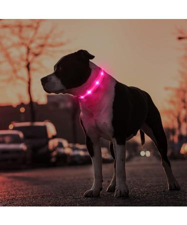 Masbrill LED Dog Collar - Waterproof Adjustable Luminous Safety Collar with 3 Flashing Lights for Small Medium Large Dogs - Pink XS (25-35cm) - Buy Online on GoSupps.com
