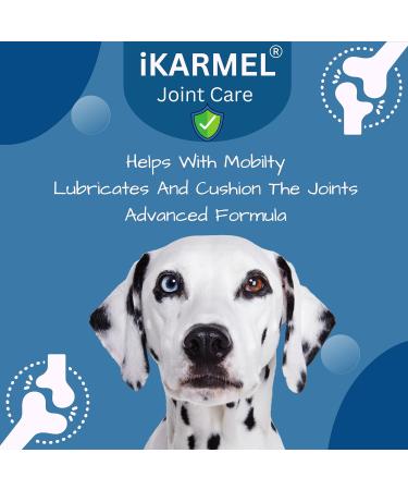 iKarmel Hip and Joint Care Supplements for Dogs - Glucosamine, Chondroitin, Green-Lipped Mussels - Senior to Puppy Treats for Stiff Joints (180 Chews) - Buy Online on GoSupps.com