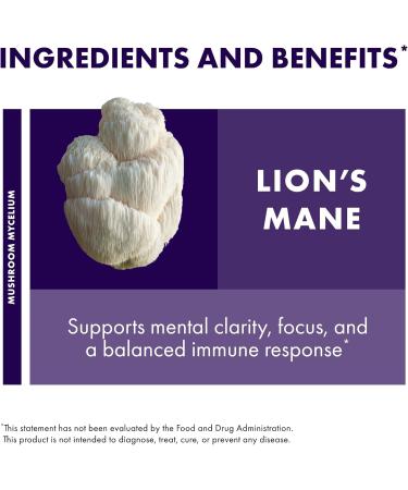 Host Defense Lion's Mane Powder - Brain Health Support Supplement - Mushroom Supplement to Support Focus & Memory Function - Immune & Nervous System Support Supplement - 7 oz (133 Servings)* 7 Ounce (Pack of 1) - Buy Online on GoSupps.com