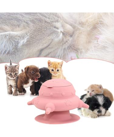 BCHBUD Puppy Kittens Feeder Milk Bowl 240ml - Nursing Bottles for Small Newborn Pets - Pink - Buy Online on GoSupps.com