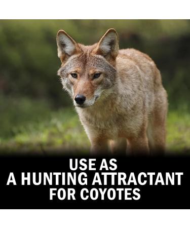 Outdoor Hunting Lab Coyote Urine Animal Spray - Protects Home & Garden from Squirrels, Skunk, Rabbit, Mouse & More - Territorial Deception Scent for Hunting - 8 oz - Buy Online on GoSupps.com